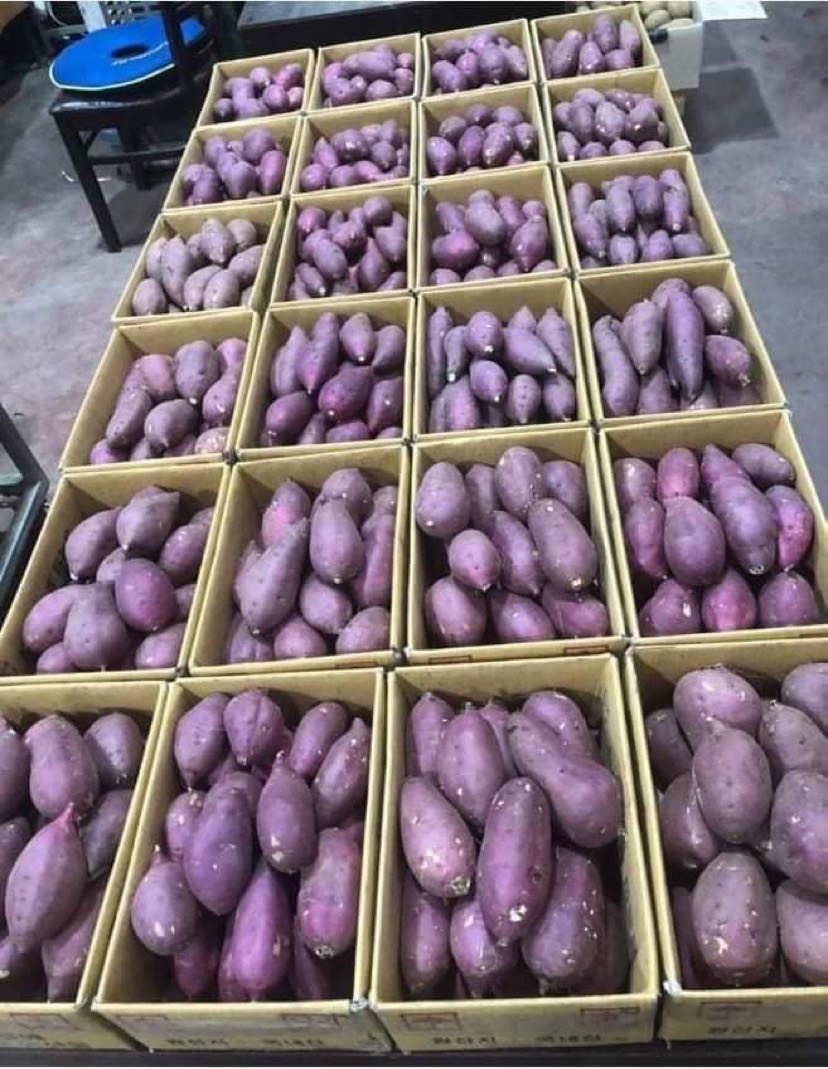 Высококачественный японский сладкий картофель