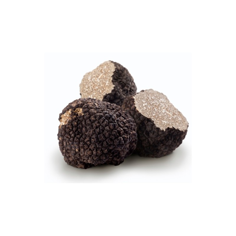 Best fresh summer truffle for cooking VEGAN FOOD ORGANIC WILD