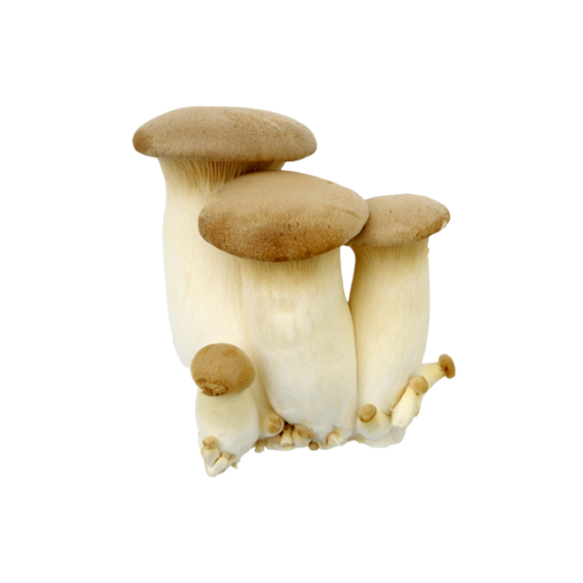 Высокое качество, Корея, Pleurotus eryngii, свежие устричные грибы, Сделано в Корее