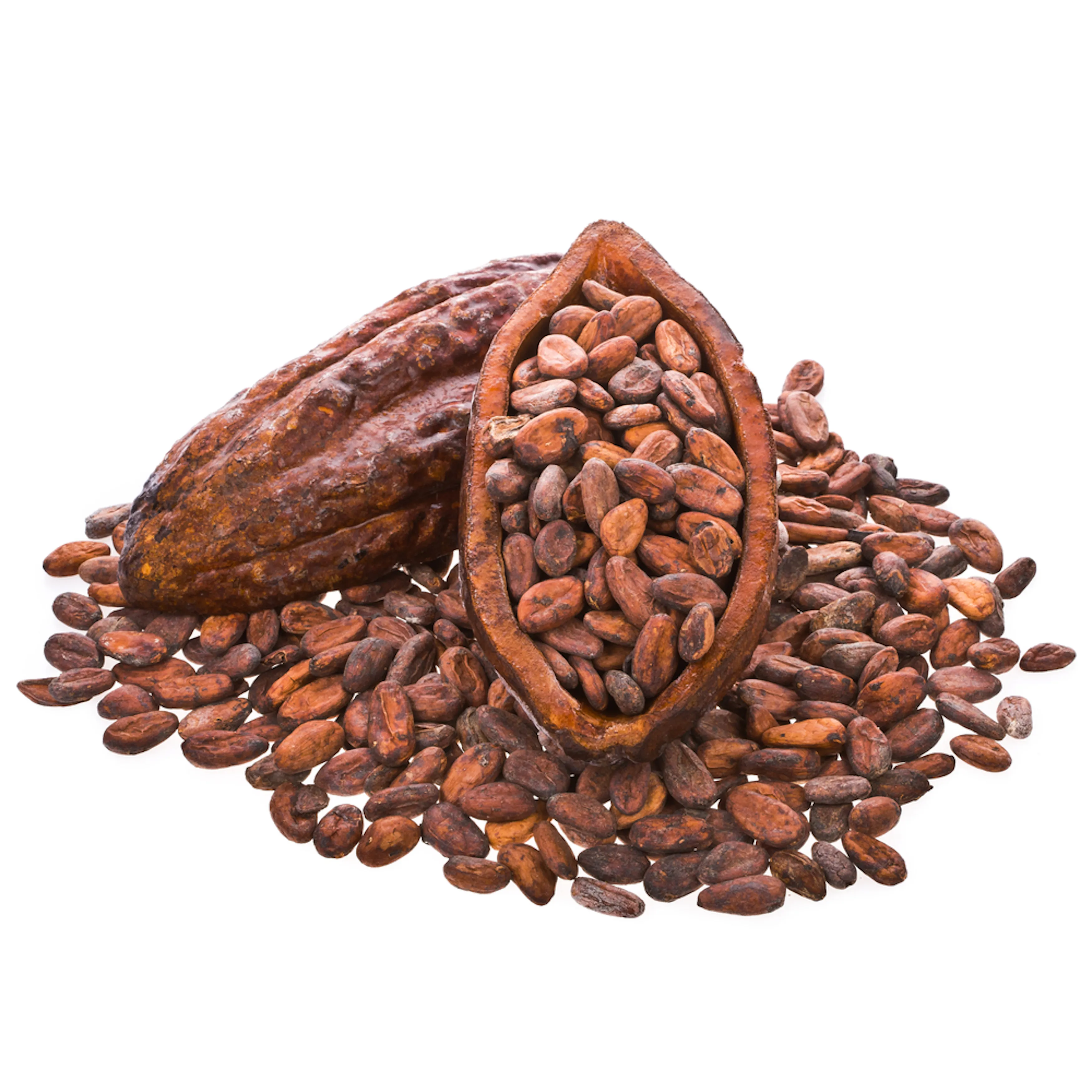 Оптовая продажа, жареные органические какао бобы
