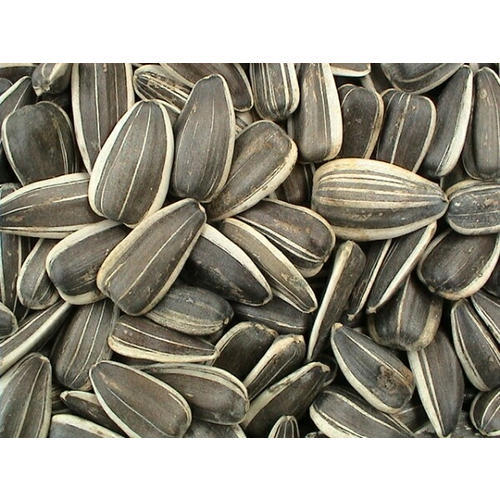 Sunflower Seeds For Human Consumption