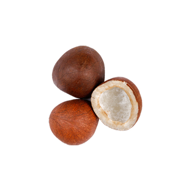 Indonesia Dried Edible Copra for Wholesale
