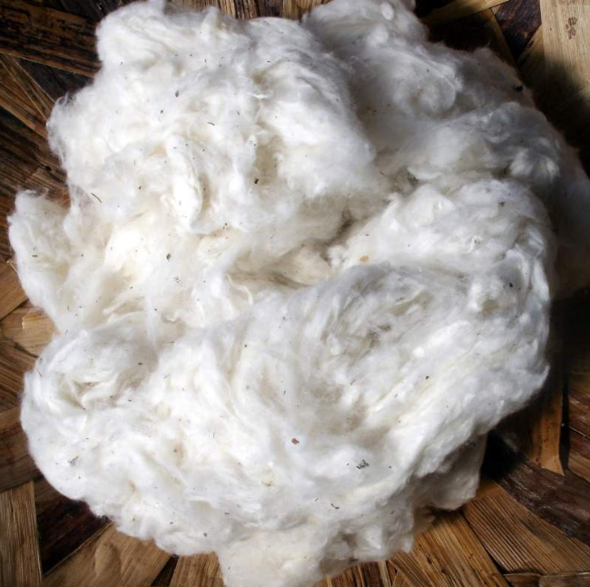 cotton