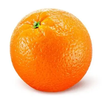 fresh Oranges at very cheap prices