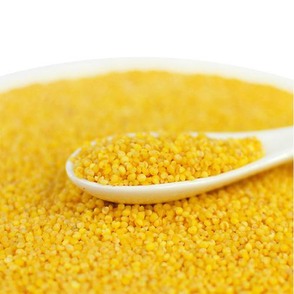 AA Grade Yellow Millet