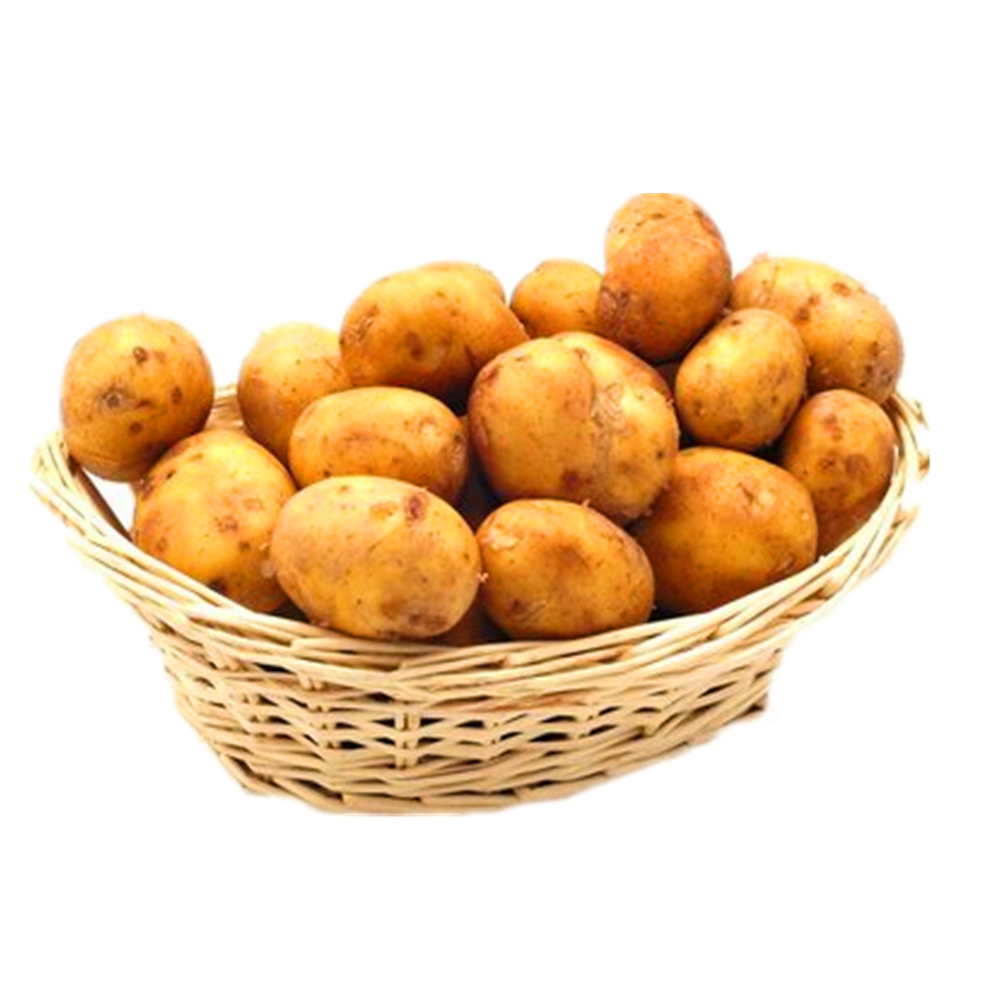 Свежий урожай картофеля