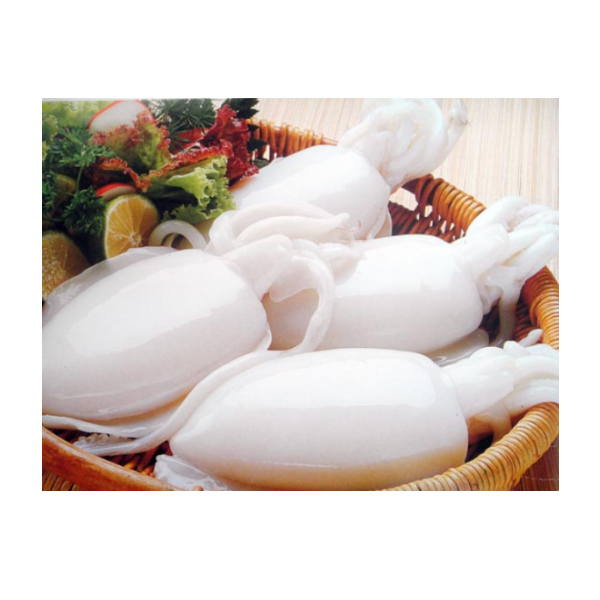 Factory Sale Whole Round Cleaned Cuttlefish for Sale