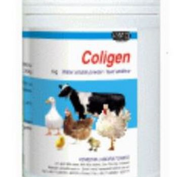 Для лечения энтерита, опухлости головы, вызванной гемофилом на утке, Coligen