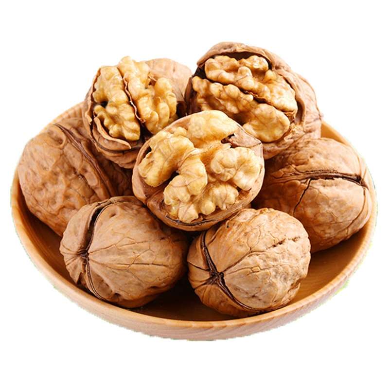 Орех в Ракушке