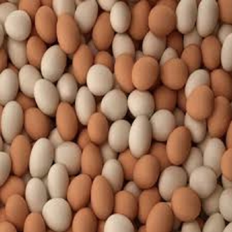 Свежее куриное яйцо из Украины для экспорта