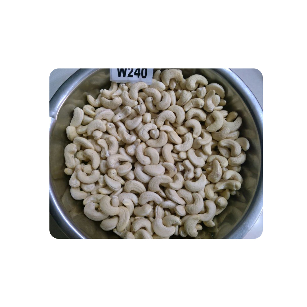 Wholesaler Indian Cashew Nut W240 Grade at Best Price for Buyer