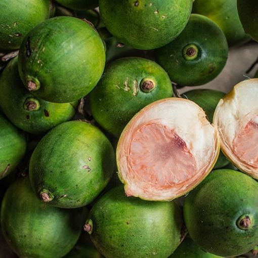Свежий орех BETEL // орех ARECA из Вьетнама, ANNIE + 84369100914