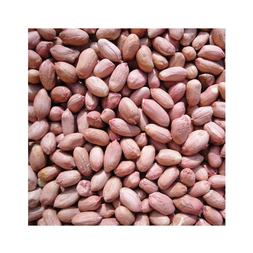 Java peanut 100% Высококачественные заземляющие гайки доступны в вакуумной упаковке для более длительного срока годности с самой быстрой доставкой