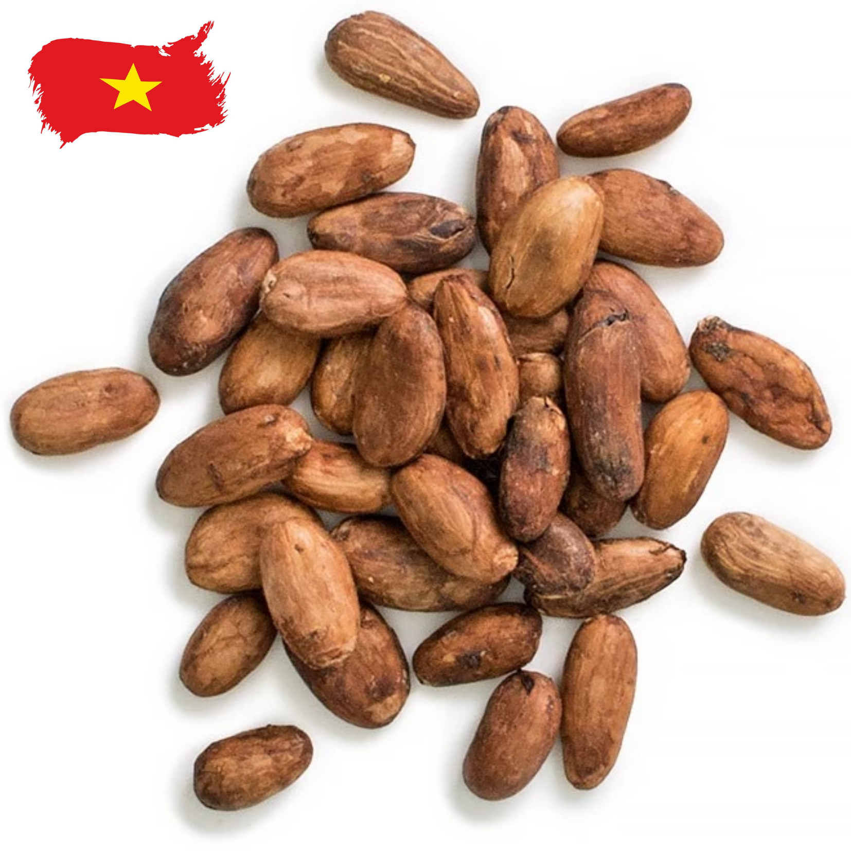 Vietnam Fermented Cocoa Beans - High Quality From Mekong Region