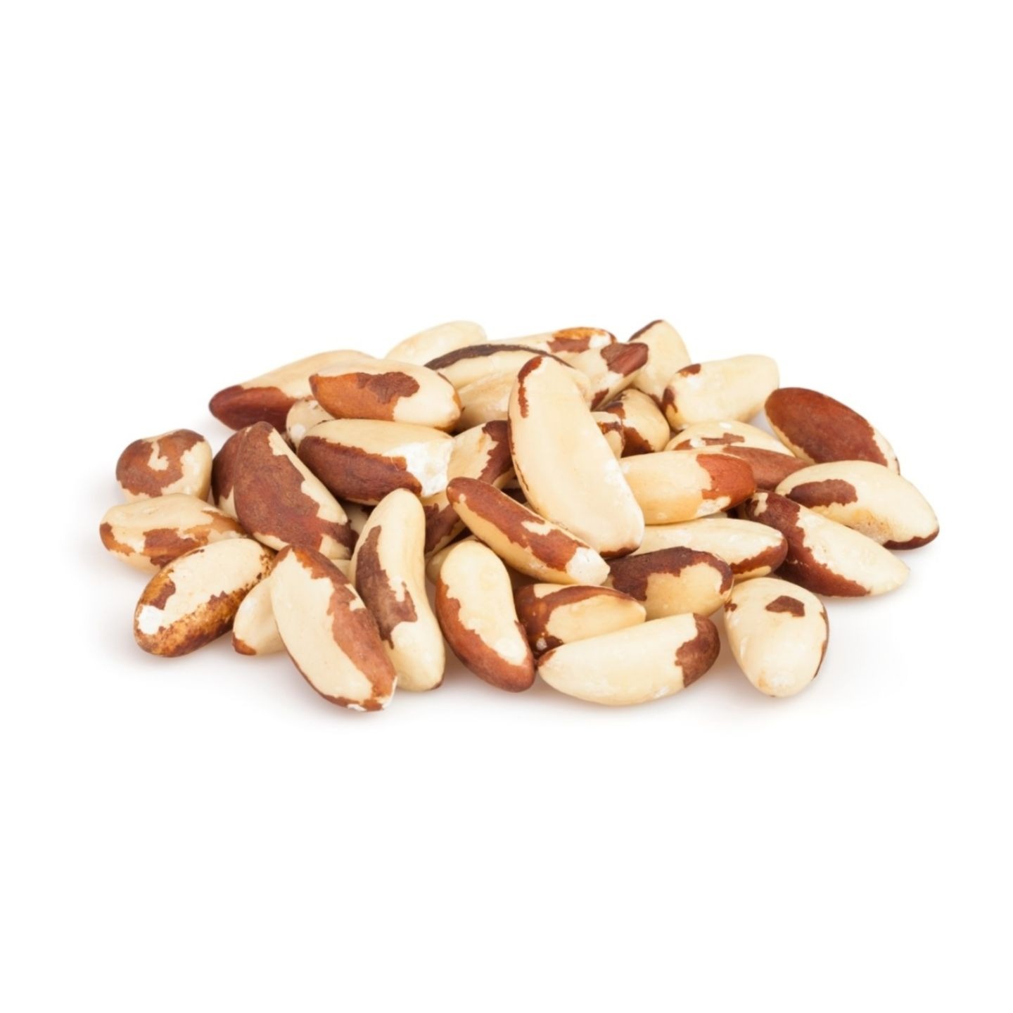 Raw Brazil Nuts and Roasted Brazil Nuts for Sale