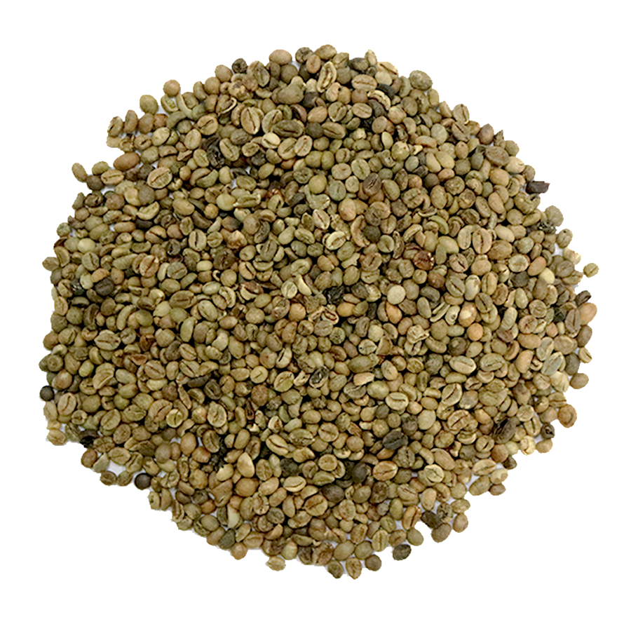 Низкая MOQ кофе в зернах мешок Robusta класса 2 зеленый кофе в зернах экран 13