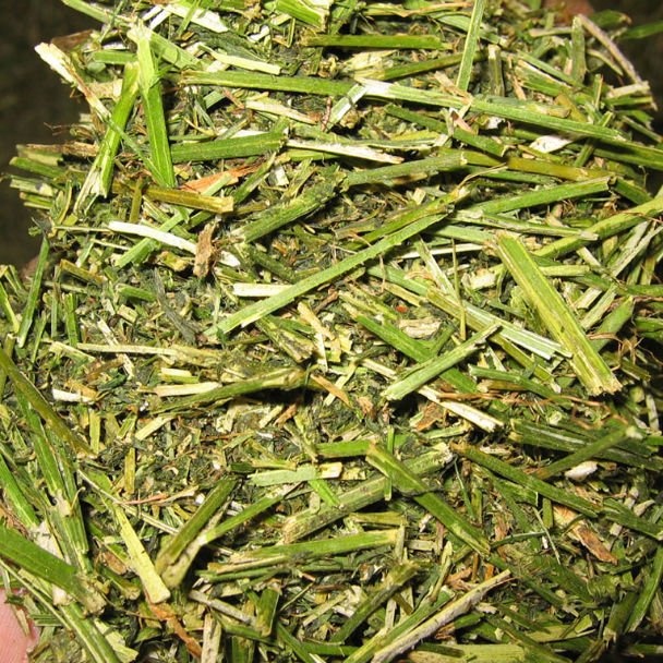 Quality Alfalfa and Hay For Sale Ukraine at cheap prices
