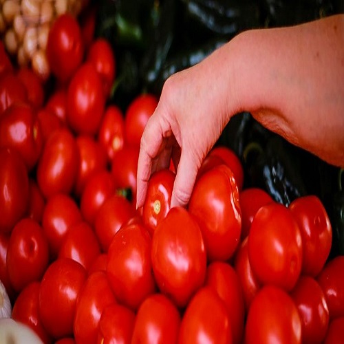 Органические томатные фрукты лучшего качества для продажи