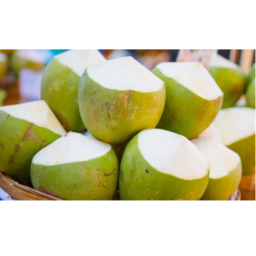 Fresh Coconuts Fruit