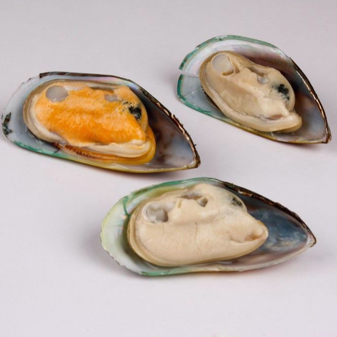 New Zealand Green lip Mussels in Half Shell