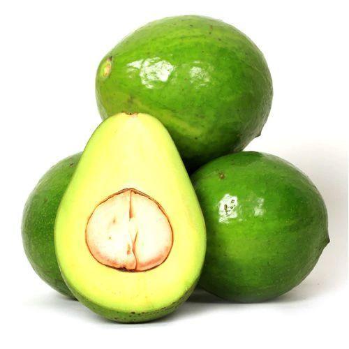 Fresh Avocado