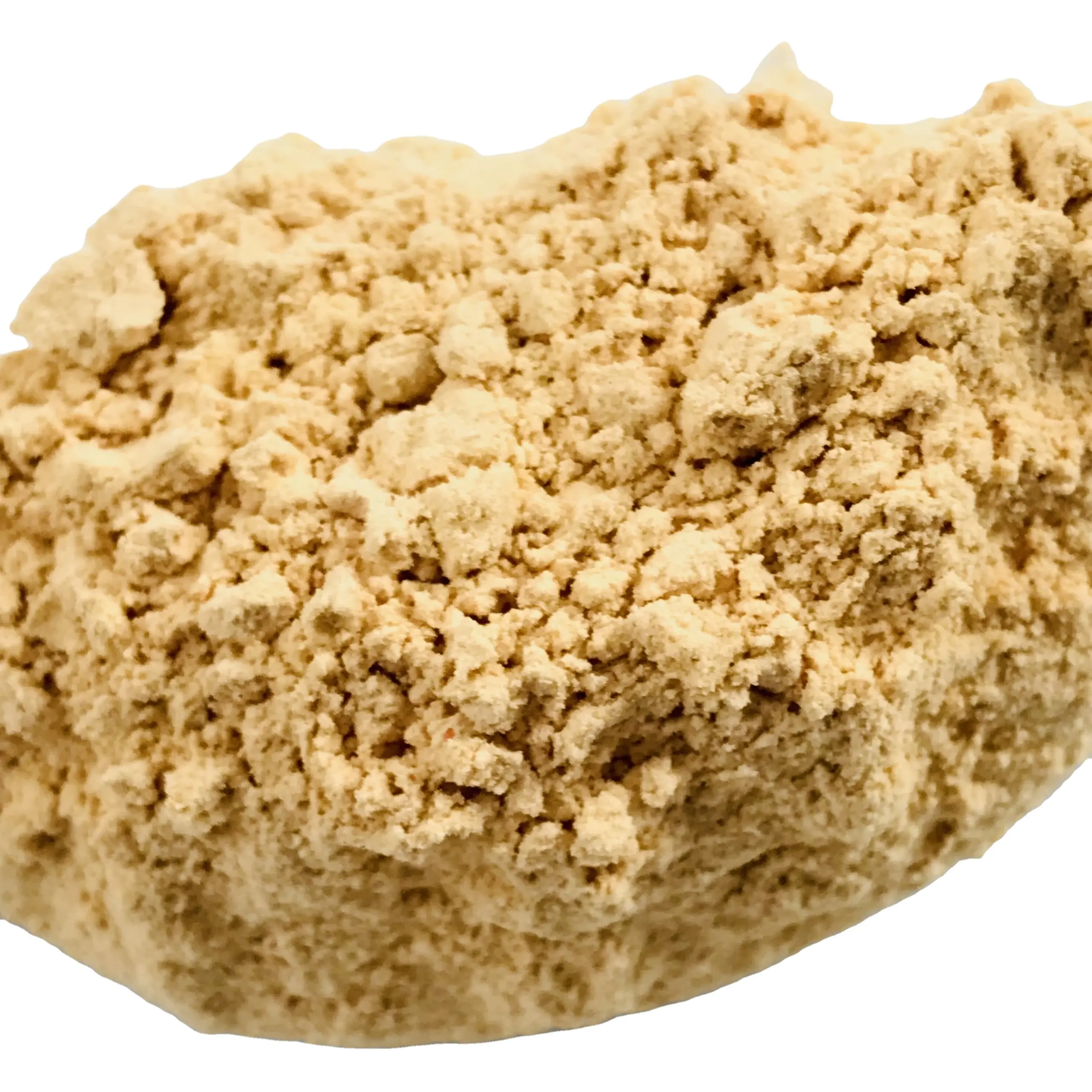 Cordyceps Militaris Powder Healthy Product 100% Natural Herbal High Quality Product Good For Health Providing Energy OEM