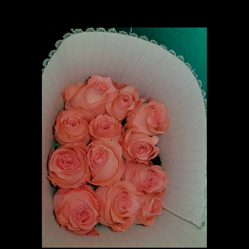Свежие оранжево-красные Корвет из Индии от VENSAI Roses