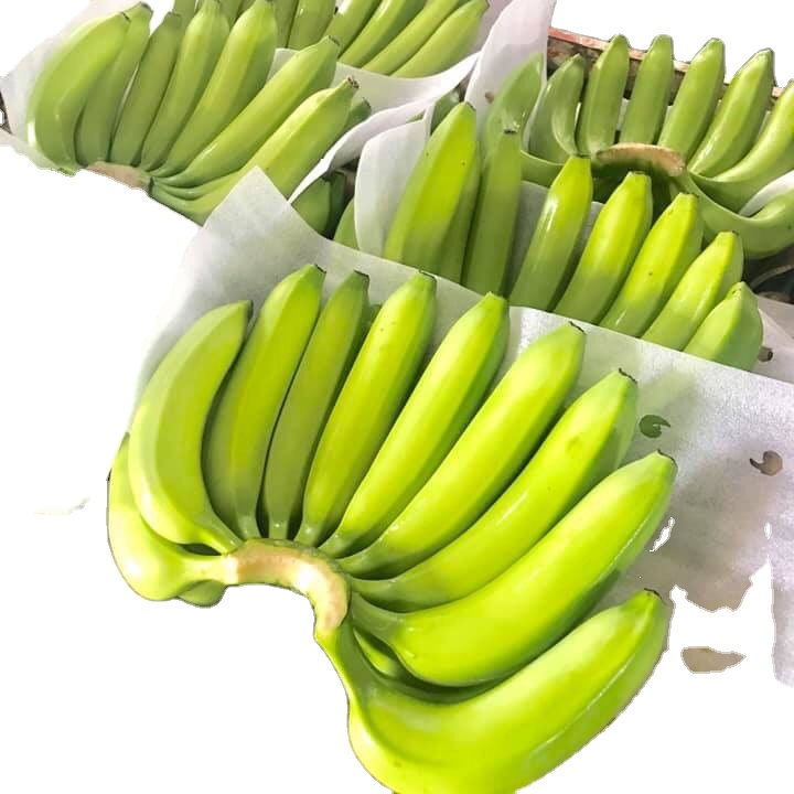 Лучший продукт, вьетнамские бананы высокого качества для экспорта