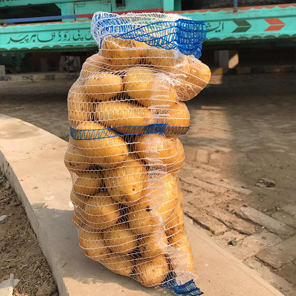 Fresh Holland Potato in Mesh Pack