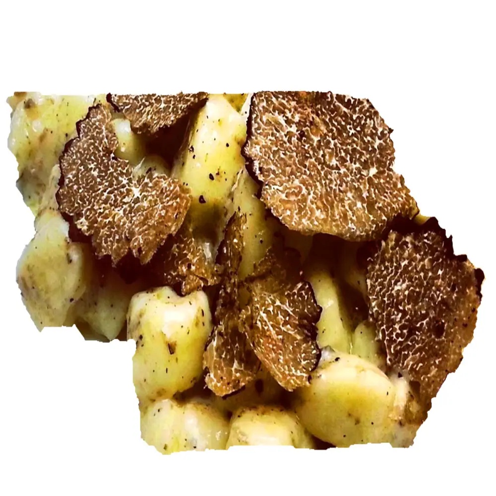 TRUFFLE POTATO GNOCCHI PASTA special shape made in Italy private label low MOQ professional use