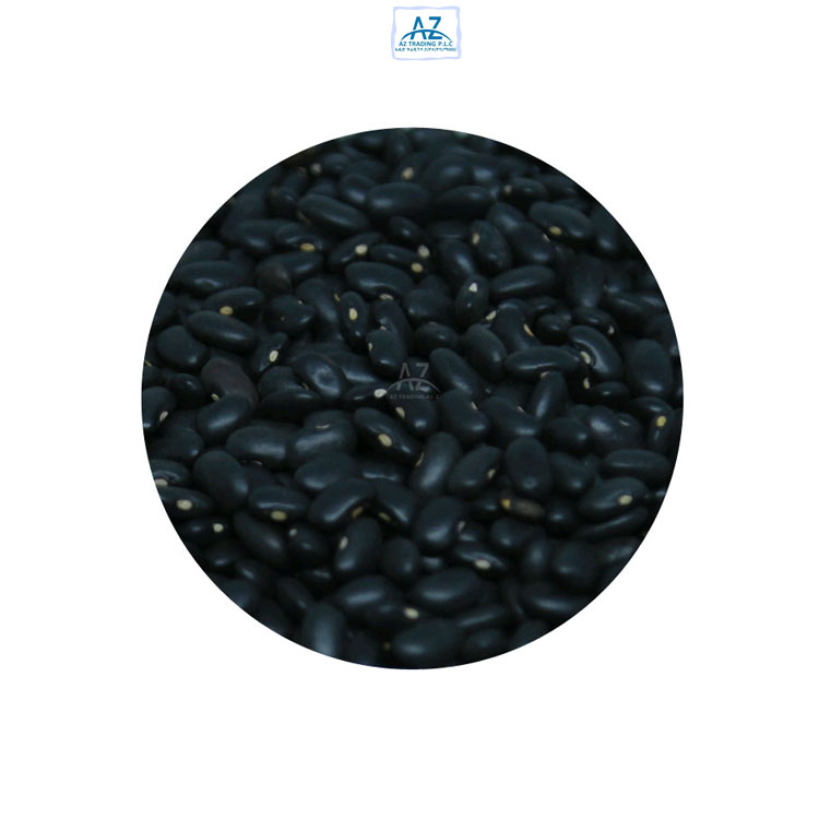 Machine Cleaned Good Quality Bulk Supply Ethiopian Black Kidney Beans