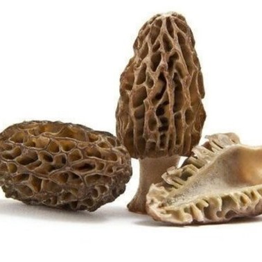 Dried Mushroom Healthy Food From Germany
