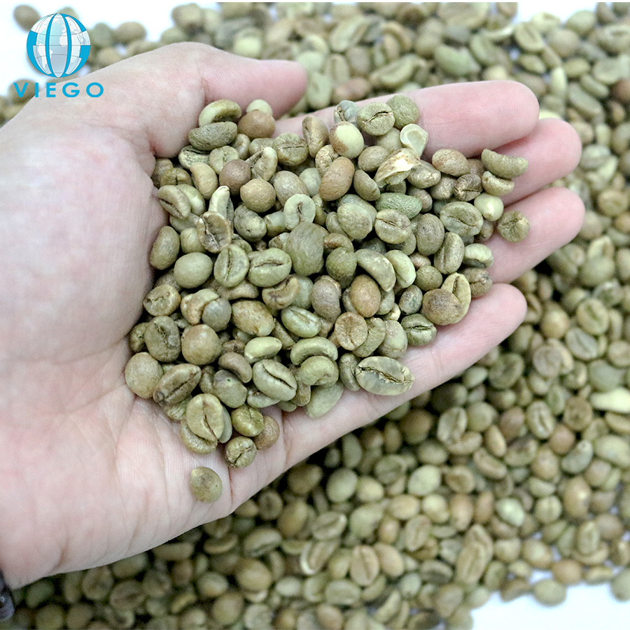 Vietnam Robusta Coffee Beans Screen 13 Standard Hot Sale Whole Bean Coffee