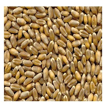 ORGANIC, HIGH QUALITY, COMMON WHEAT, SOFT WHEAT