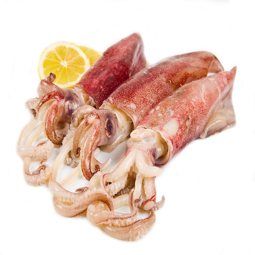 Замороженный кальмар, оптовая продажа, низкая цена, морепродукты кальмар, Китайская морская еда U3 U5 Dosidicus Gi