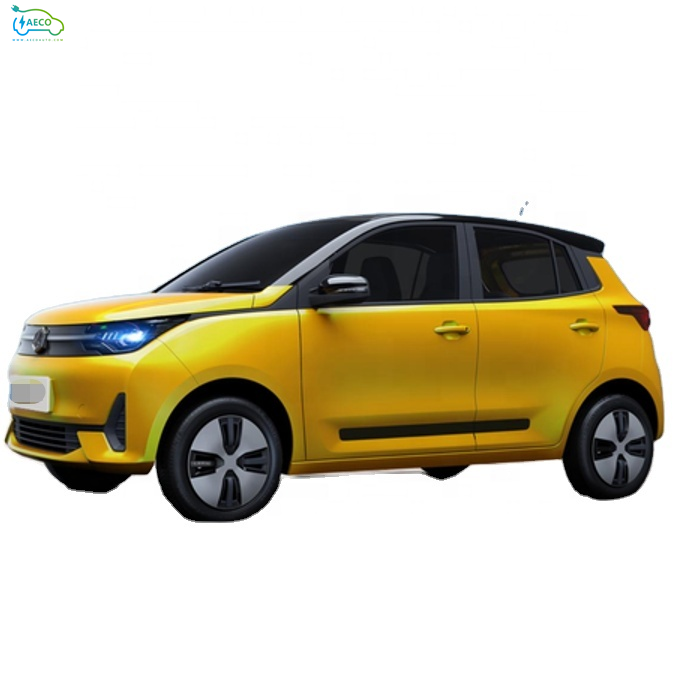 New Manufacturer Hot Sale High Speed Mini New Energy Electric Car