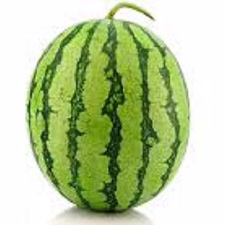 A Grade Fresh Watermelon Fruits