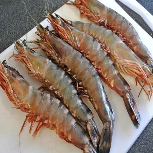 Замороженная оболочка-на Vannamei Shrim
