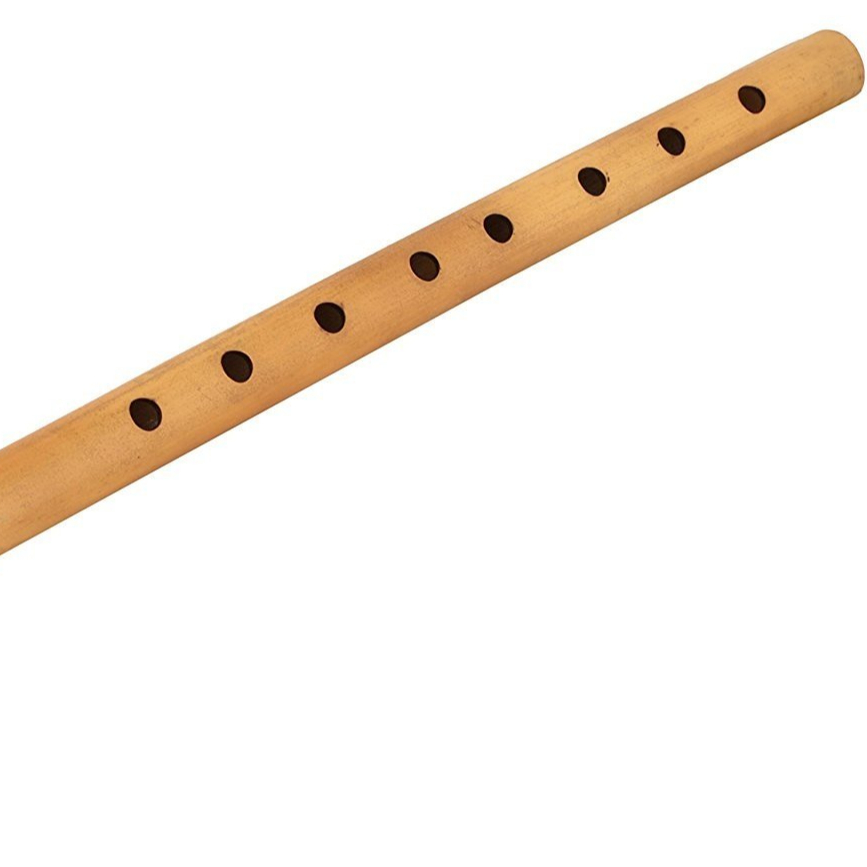 Традиционный музыкальный инструмент Woodwind для начинающих