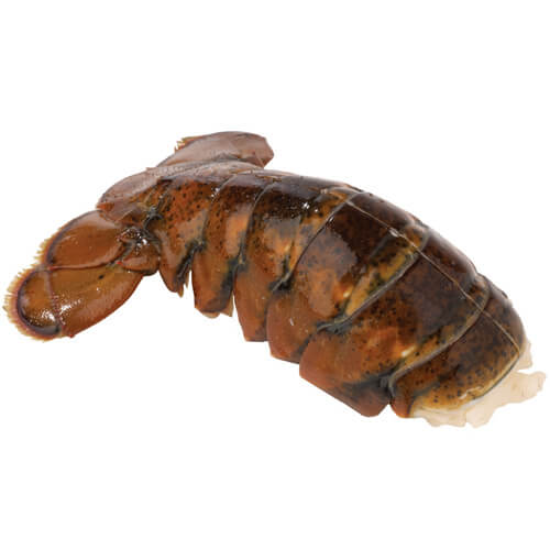 FROZEN LOBSTER