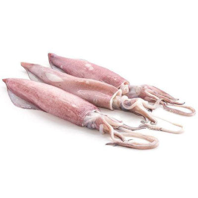 Дружественные морепродукты, замороженный кальмар Illex, замороженный кальмар, замороженный кальмар, оптовая продажа