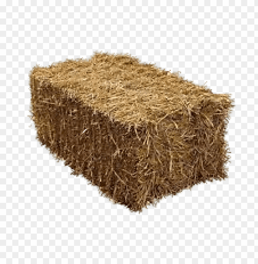 Fresh Alfalfa Hay for Animal feed Natural Cattle Alfalfa Hay Animal Feed for sale..