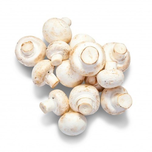 Best portobello mushroom