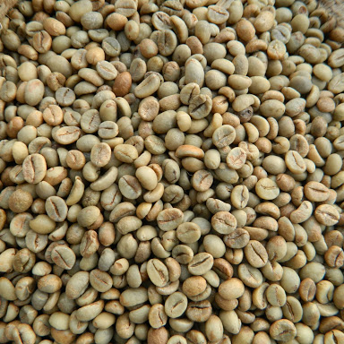 100% Вьетнам ROBUSTA, зеленый кофейный экран, 18 очищенных по лучшей цене