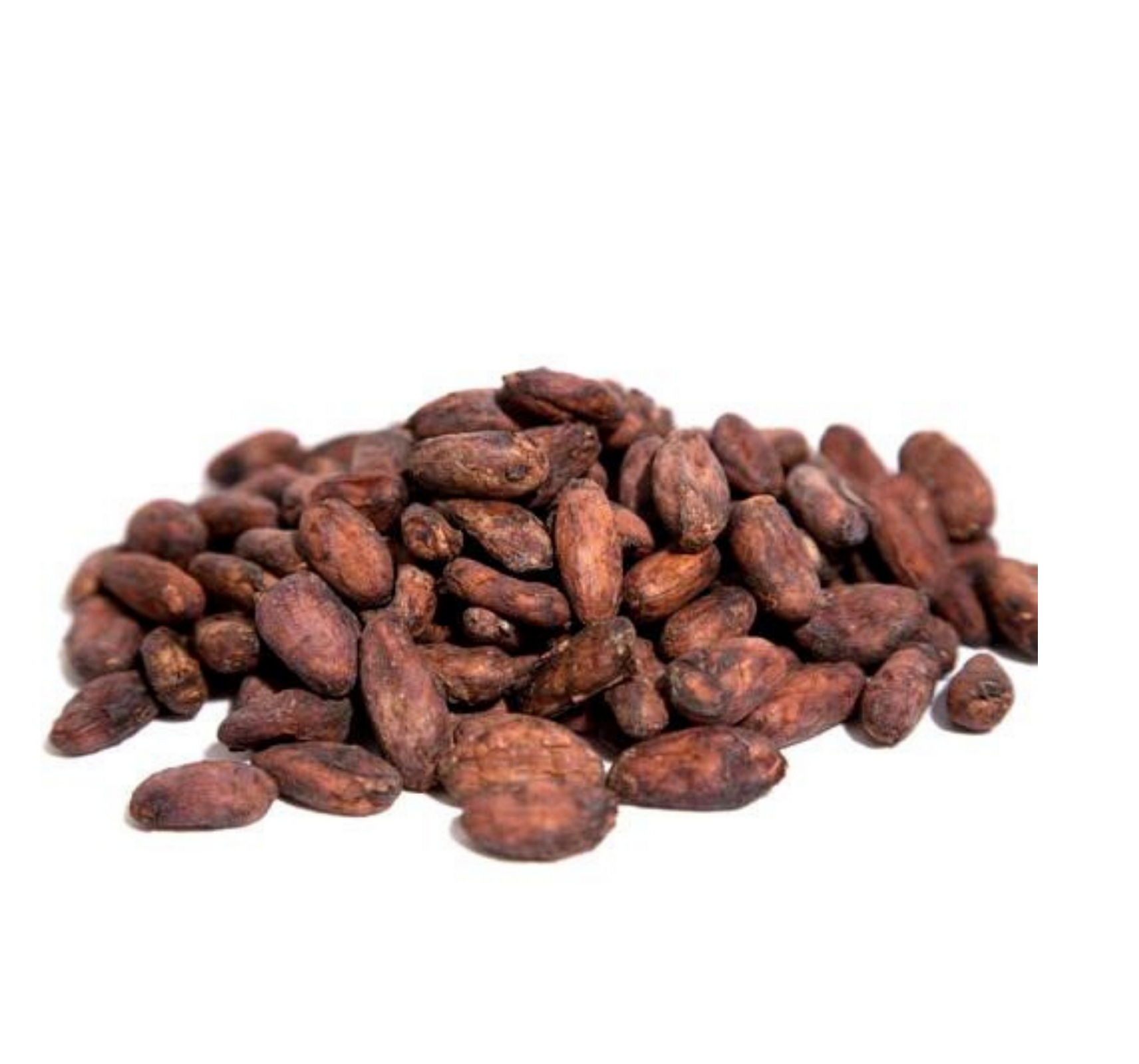 Cocoa Beans Highland Cacao Fermented Cocoa Beans- Premium Cocoa Beans