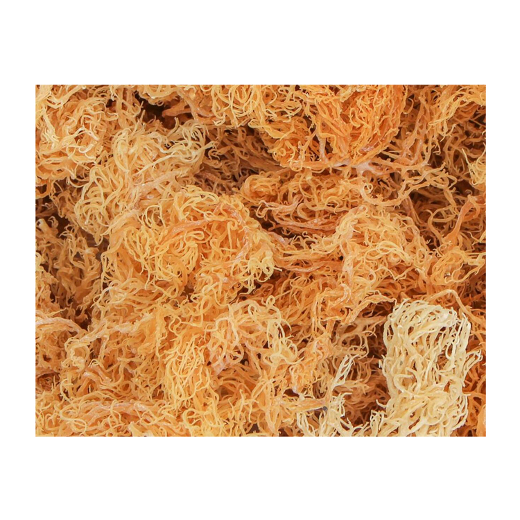 Irish Seamoss золотисто-желтого цвета, сушеные морепродукты, морской Мох/Катти