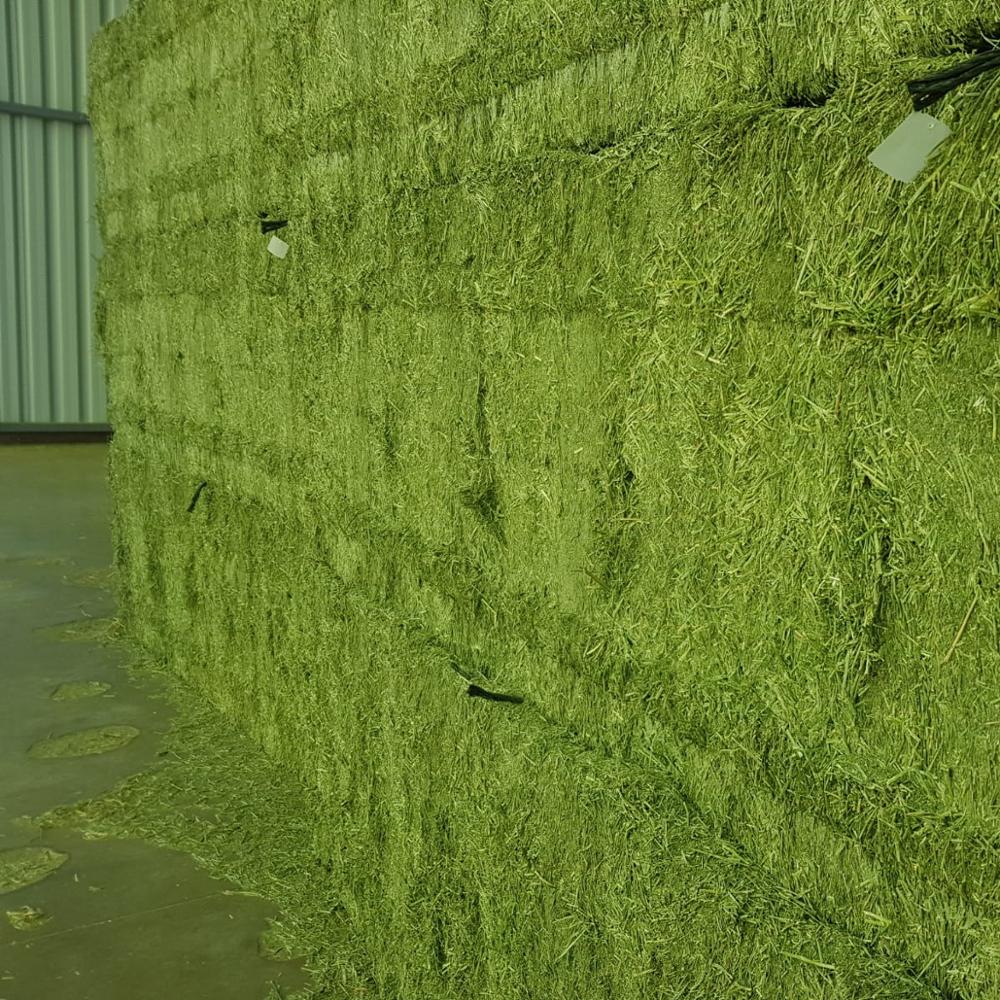 Pure Alfalfa Hay/Timothy Hay/Lucerne Hay For Animal Feed