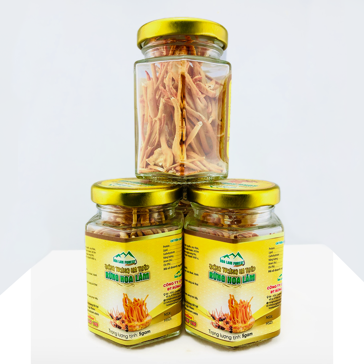 Cordyceps Militaris Healthy Product 100% Natural Herbal High Quality Product Good For Health Providing Energy OEM Private Label