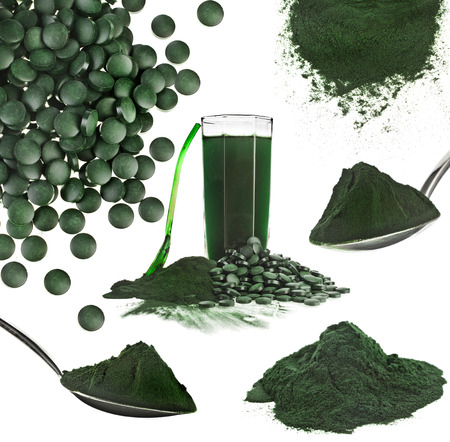 Best Seller High Quality 60~65% Protein Spirulina Powder