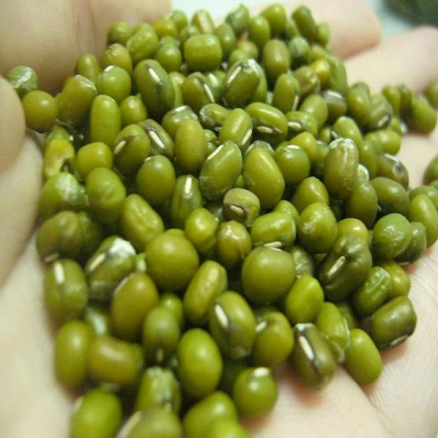 Price of Dried Green Mung Beans/Masoor Dal/ Green Moong Beans